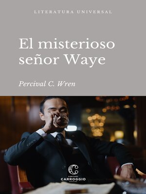 cover image of El misterioso señor Waye